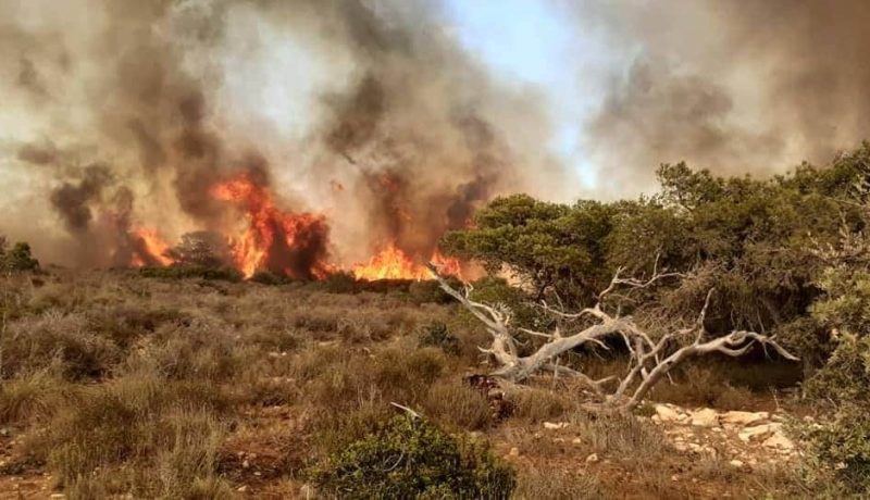 سكيكدة.. اخماد حريق غابة بمنطقة بولجراد ببلدية خناق مايون
