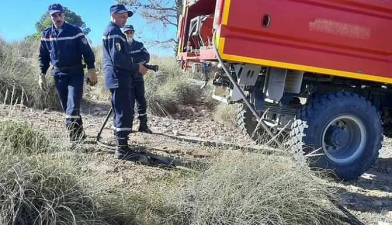 بالصور.. حريق يتلف قرابة الـ500 متر مربع حلفاء و20 شجرة صنوبر بتبسة