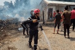 حريق يتلف العديد من الأشجار المثمرة في الشلف