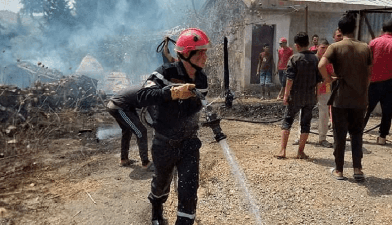 حريق يتلف العديد من الأشجار المثمرة في الشلف