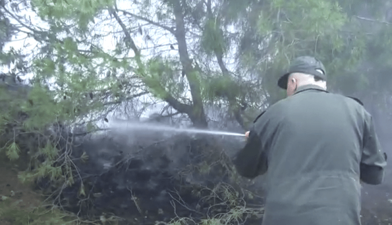 سيدي بلعباس.. إخماد حريق بغابو خمسيس أتلف 5 هكتارات