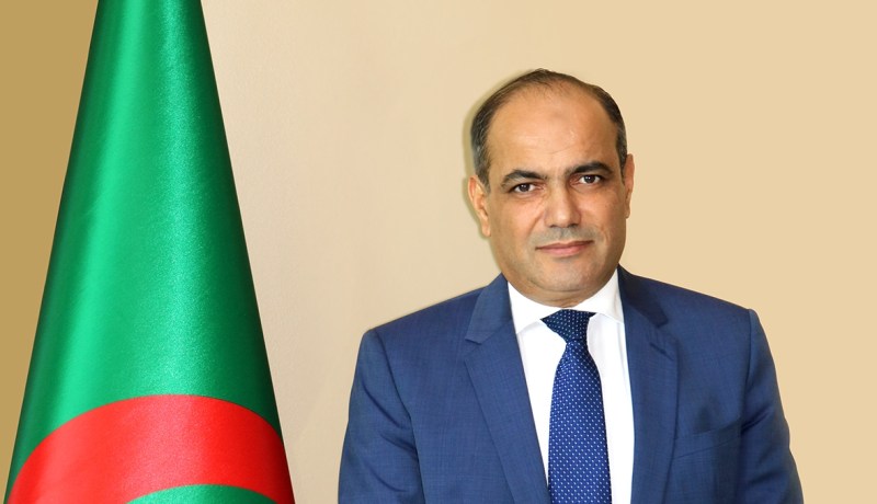 خليفاتي: خسائر بألاف الملايير وانهيار رقم الأعمال بـ60% لعدم تجديد عقود التأمين