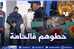 BRI العاصمة يفكك شبكة دولية مختصة في تهريب الحيوانات