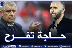 بلماضي يعلق على تصريحات فرناندو سانتوس