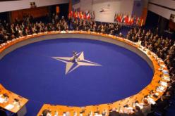 الجزائر تشارك في أشغال الدورة السنوية لمنظمة حلف شمال الأطلسي