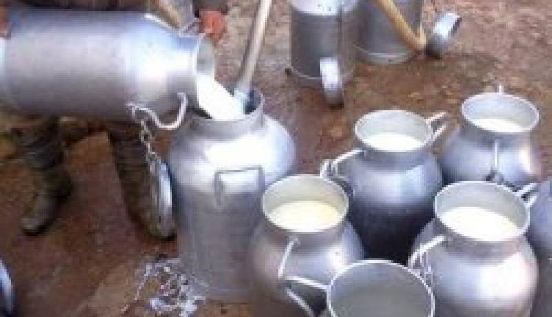 انطلاق أشغال إنجاز ثاني مركب لإنتاج الحليب ومشتقاته بتيسمسيلت