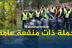 قسنطينة.. أكثر من 100 طالب يشارك في تنظيف غابة جبل الوحش