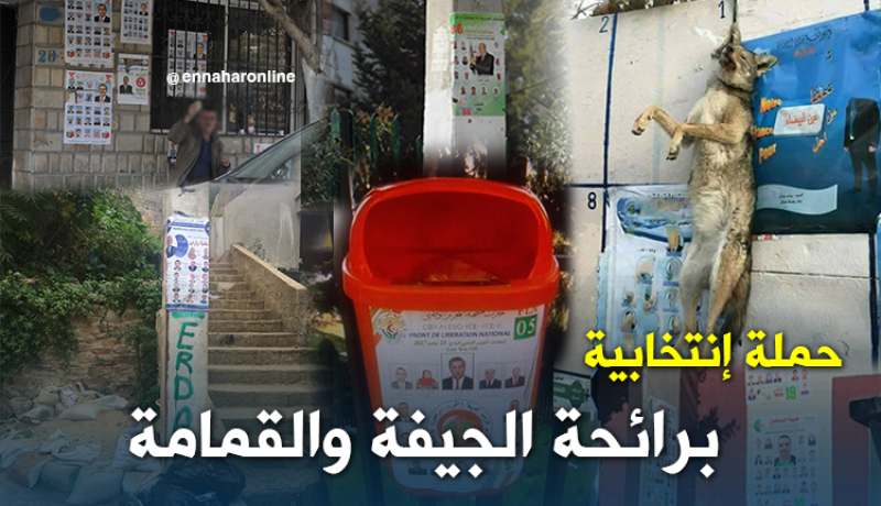 بالفيديو.. حملة إنتخابية برائحة الجيفة والقمامة