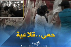فلاحة: مديرية المصالح البيطرية تؤكد تسجيل حالات حمى قلاعية بمذبح حسين داي