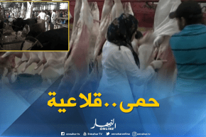 فلاحة: مديرية المصالح البيطرية تؤكد تسجيل حالات حمى قلاعية بمذبح حسين داي
