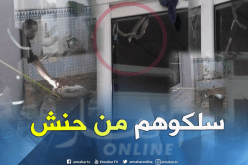 بالصور.. الحماية المدنية تنقذ عائلة من ثعبان كبير في البليدة