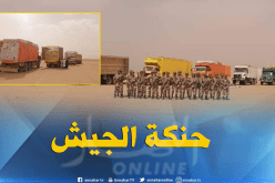 بالصور.. إحباط محاولة تهريب 138.37 طن من المواد الغذائية ببرج باجي مختار