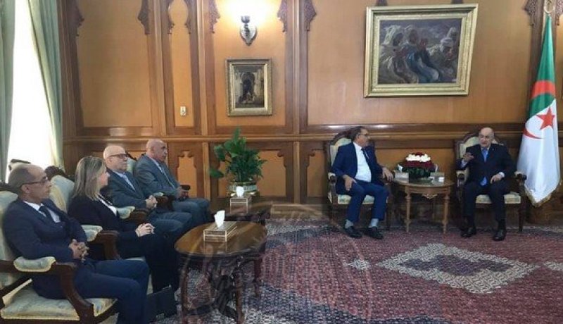 خالفة مبارك: ناقشت مع الرئيس تبون ملف إعاد النظر في قانون الشهيد والمجاهد