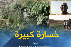 بالفيديو..المياه القذرة تكبد الفلاحين خسائر فادحة بغليزان