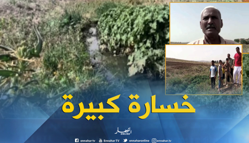 بالفيديو..المياه القذرة تكبد الفلاحين خسائر فادحة بغليزان