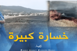 حريق يخلّف خسائر كبيرة في محاصيل الحبوب ببجاية