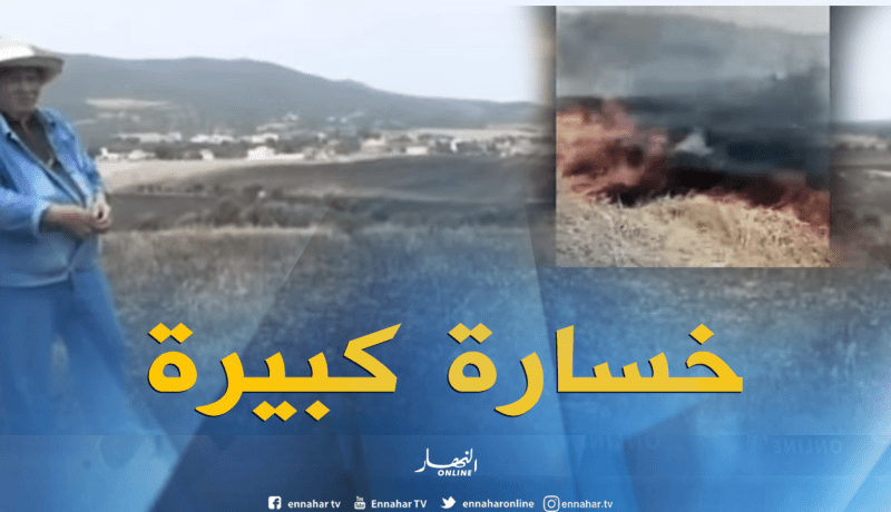 حريق يخلّف خسائر كبيرة في محاصيل الحبوب ببجاية