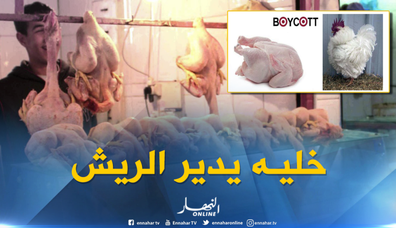 حملة لمقاطعة اللحوم البيضاء بعد إرتفاع أسعارها 