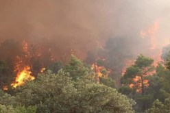 وزير الداخلية: حرائق خنشلة مفتعلة.. ويقف وراءها مجرمون