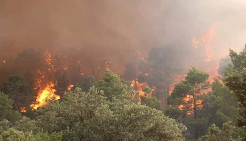 وزير الداخلية: حرائق خنشلة مفتعلة.. ويقف وراءها مجرمون