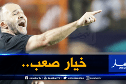 بعد تصريحات بلماضي الأخيرة.. هؤلاء مُهددون بفقدان مكانتهم مع الخضر!