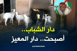 الشيخ النوي..دار الشباب بتيزي وزو تتحول إلى إسطبل للمعز