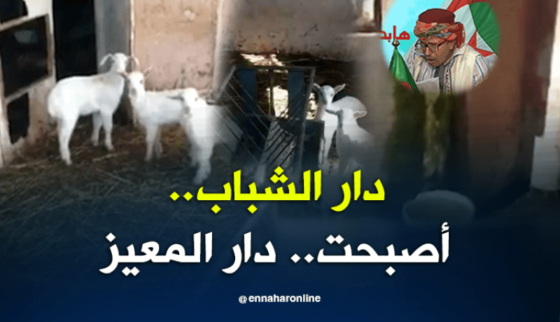 الشيخ النوي..دار الشباب بتيزي وزو تتحول إلى إسطبل للمعز