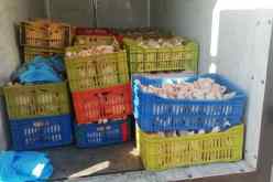 بالصور.. حجز كميات معتبرة من الدجاج غير كامل النمو ونقانق غير صالحة للاستهلاك