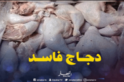 حجز قنطارين من الدجاج الفاسد بتلمسان