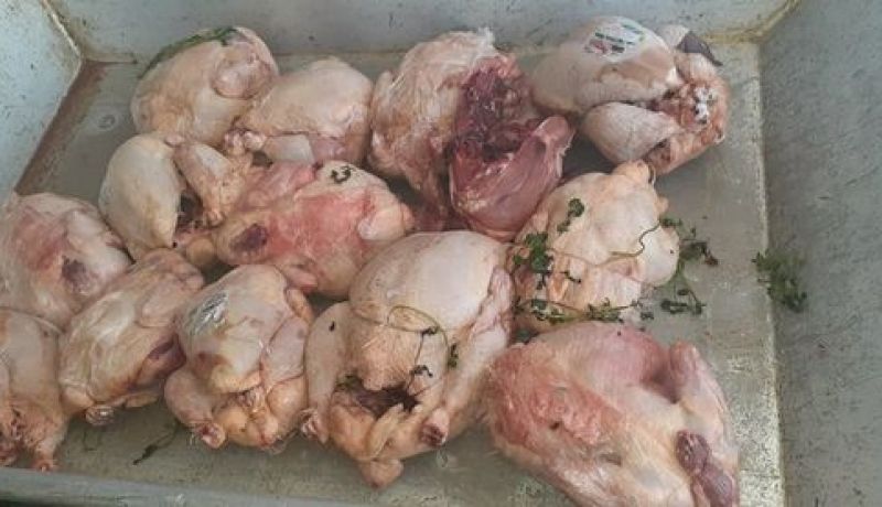سوق أهراس: حجز أزيد من 30 كلغ دجاج فاسد
