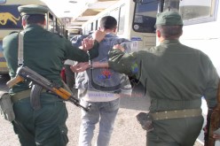 مصالح الدرك: توقيف 12 شخصا وحجز كمية من الكيف بالعاصمة