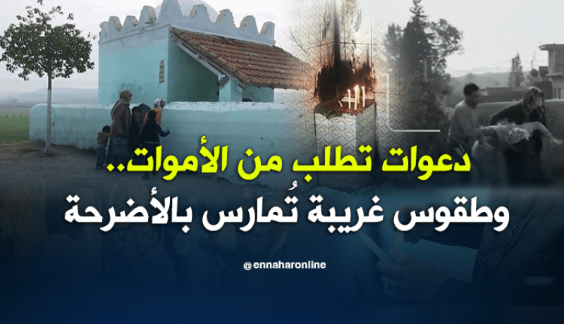 دعوات تطلب من الأموات.. وطقوس غريبة تُمارس بالأضرحة