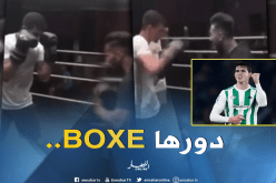 بالفيديو..”ماندي” من ملاعب الكرة لحلبة المُلاكمة!