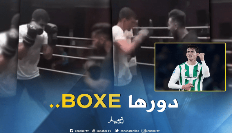 بالفيديو..”ماندي” من ملاعب الكرة لحلبة المُلاكمة!