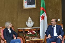 دوسارنيز تثمن ما حققته الجزائر وفرنسا في إطار الشراكة الاقتصادية والتجارية