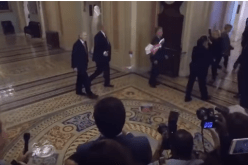 بالفيديو.. شاب يقذف ترامب بالأعلام الروسية في الكونغرس