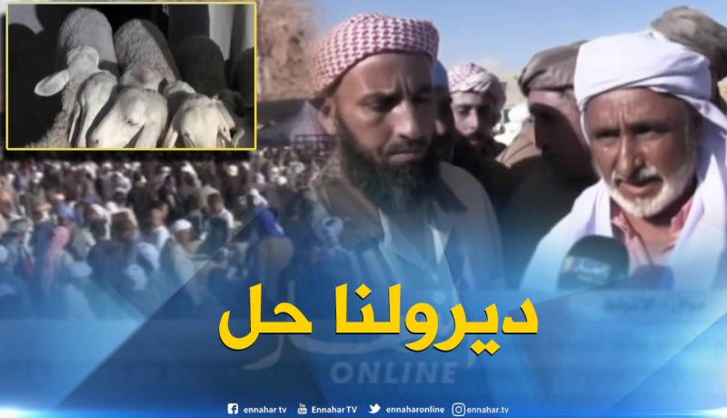 موالون يطالبون بتنظيم “سوق المواشي” بالأغواط