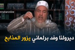 الشيخ شمس الدين/ لا يجوز أكل الدجاج المذبوح بالسكين الدوار