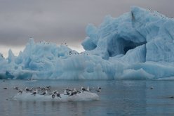 علماء يترقبون عصر جليدي بسبب ذوبان الجليد