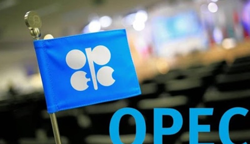 اليابان تتوقع تأجيل الـ “أوبك+” لخطة زيادة الإنتاج في جانفي