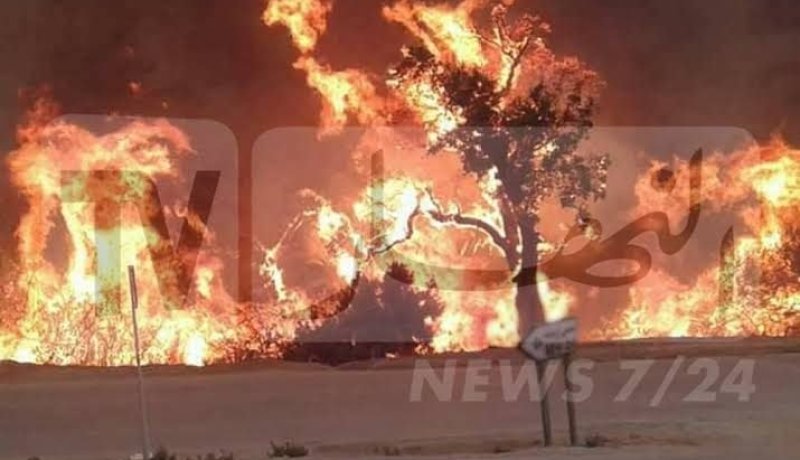 الوادي: أعوان الحماية المدنية يحاصر حريق بغابات اكفادو
