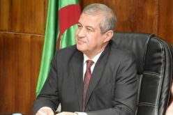 رابحي: الأخبار الزائفة سببها كثرة مواقع التواصل الاجتماعي