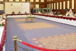 إدانة عالمية وإفريقية جديدة لتدخل البرلمان الأوروبي في الجزائر