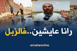 الملاريا تهدد سكان الوادي بسبب النفايات
