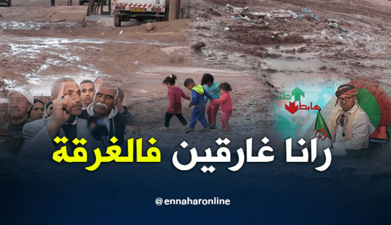 الشيخ النوي: سكان سعيدة يستغيثون..خرجونا من الغرقة