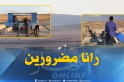 الحمير لجلب المياه الشروب بمشتة أولاد علي بأم البواقي