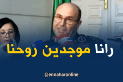 الأمين العام للغابات: سطرنا برنامجا خاصا للتصدي للحرائق هذا الصيف
