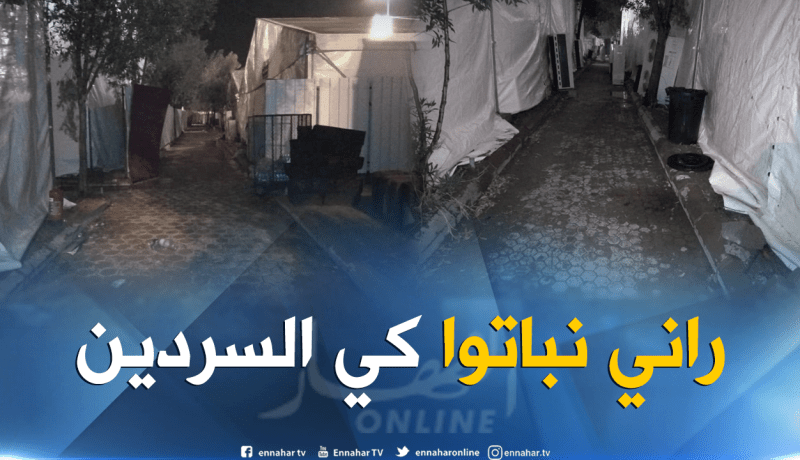 بالفيديو.. أوضاع كارثية في مخيمات الحجاج الجزائريين بمشعر منى