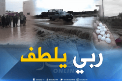 بالصور .. أمطار طوفانية تغرق بلدية طامزة بخنشلة في عز الصيف