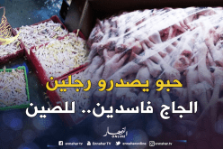 قالمة.. حجز 40 طنا من أرجل الدجاج الفاسد موجهة للتصدير